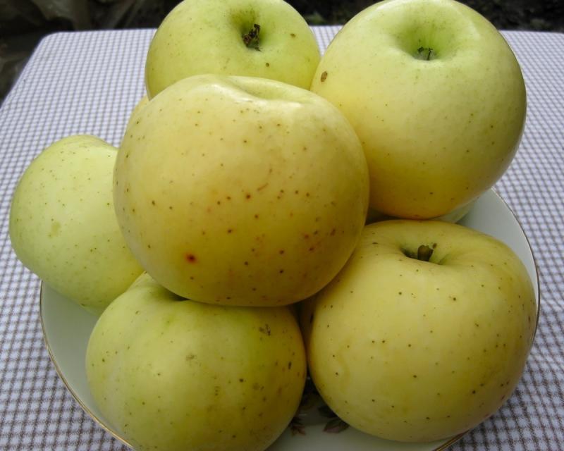 Народное ябл